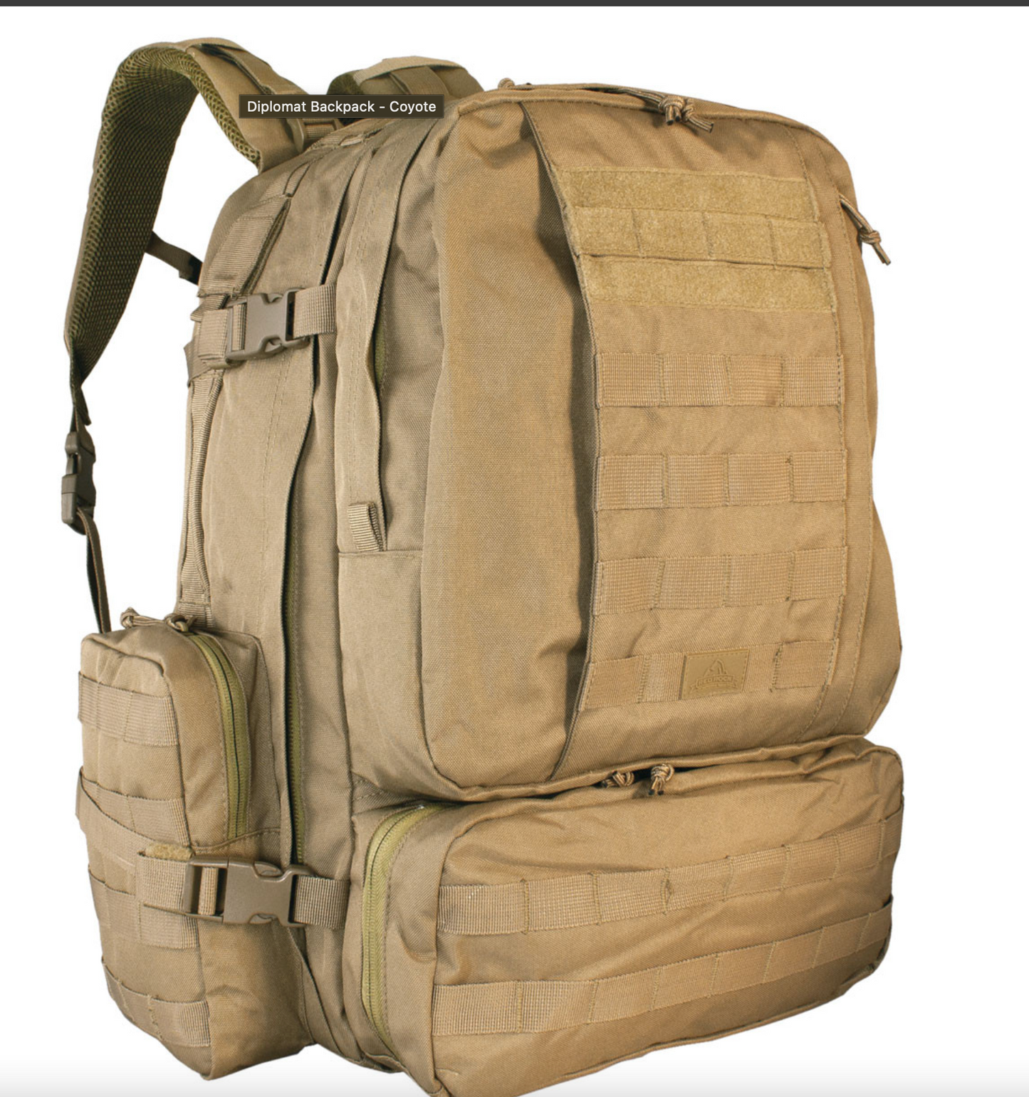 Diplomat Backpack